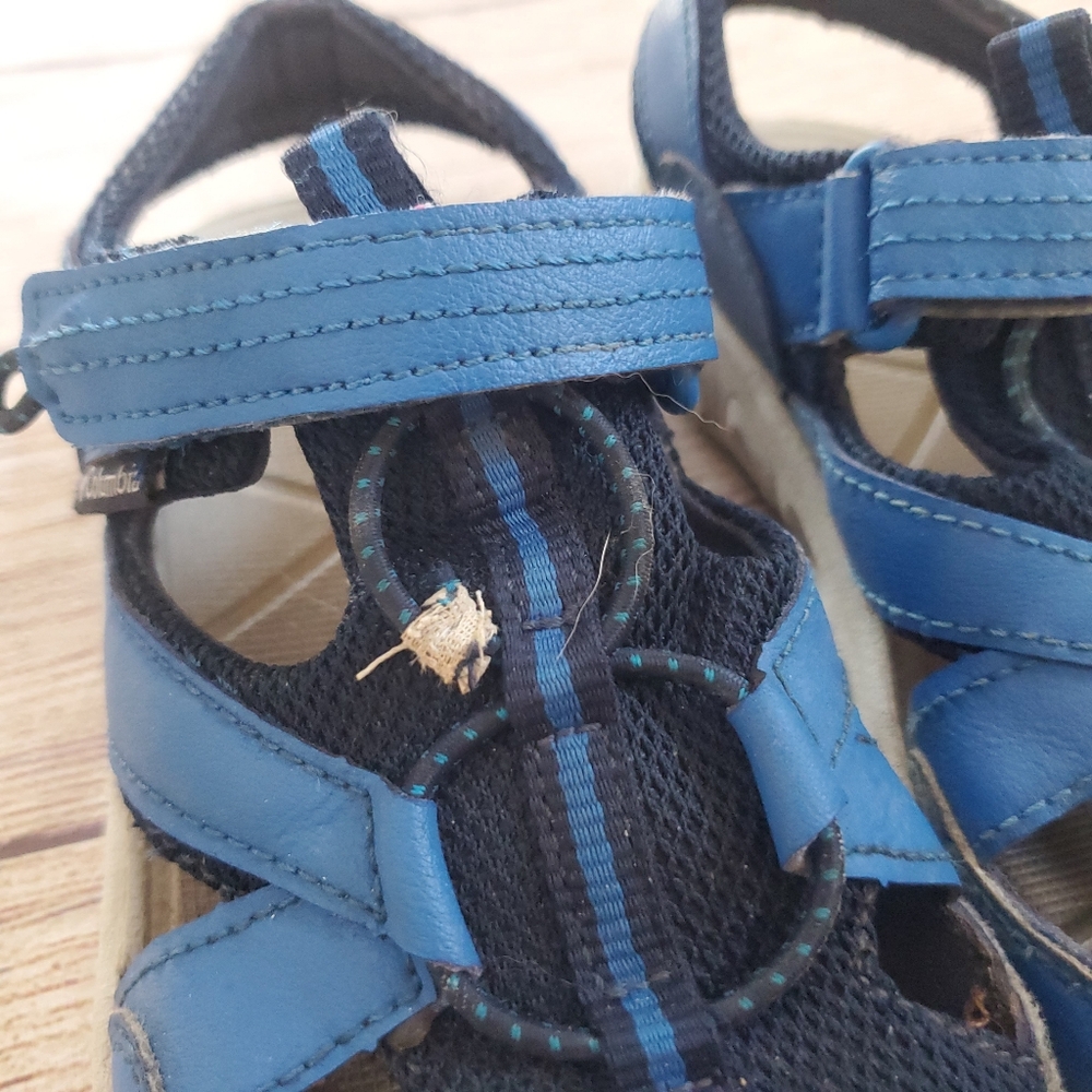 5/$20🌟Columbia Kids Blue Sandals - Picture 4 of 8